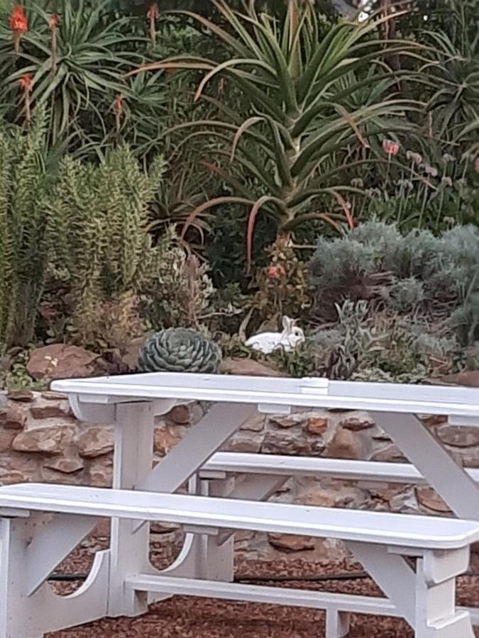 Mountain View Swellendam Apartman Kültér fotó